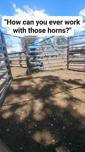 230K views · 1.3K reactions | We always get the question, "But how do...