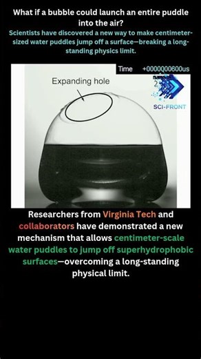 Bursting Bubbles Launch Centimeter-Scale Water Puddles Into the Air