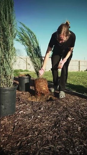 Level Up Your Outdoor Projects with Gorilla Tools