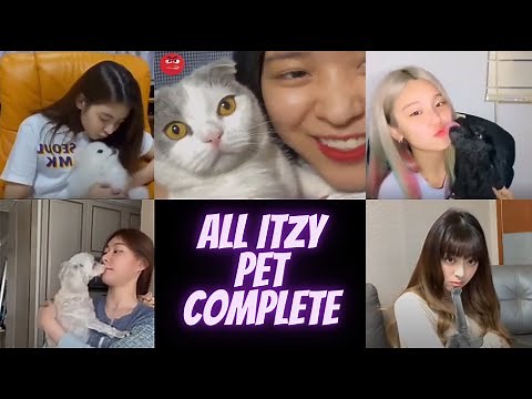 ITZY (있지) with Their Pet or Puppy Compilation Funny and Cute Moment