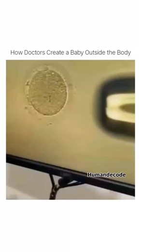 humandecod on Instagram: "This is how doctors create a test-tube baby step by step. In IVF, the egg and sperm are carefully taken, combined in a lab, and allowed to form an embryo. Once it starts growing, the embryo is placed back into the mother’s womb. A delicate medical process that helps couples become parents when natural pregnancy becomes difficult. . . . #HumanDecode #IVFProcess #TestTubeBaby #MedicalFacts #HealthEducation #BabyScience #IVFJourney #EmbryoDevelopment #MedicalAwareness #Hum