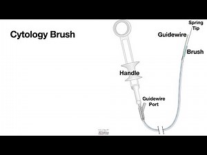 HCC 1474-15 Biliary brush