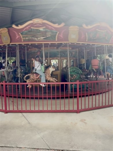 The Jackson Zoo on Reels