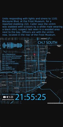 STABBING – Frost Museum / Biscayne Blvd | Miami PD #Shorts