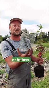 How to Use Gopher Baskets with Noah - Ceres Gardening Tips