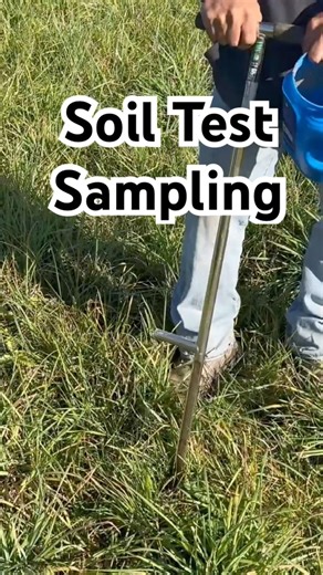 How To Take a Proper Soil Sample #soiltesting #soilhealth #gardening