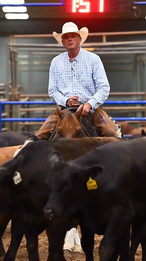 GameStop (by Dont Stopp Believin) and Chad Bushaw marked a 218 to be Non Pro Derby Finalists at the West Texas Futurity! #DontStoppBelievin #CuttingHorses #NCHA #Stallion #2m Video provided by Emily Coffeen | Dont Stopp Believin