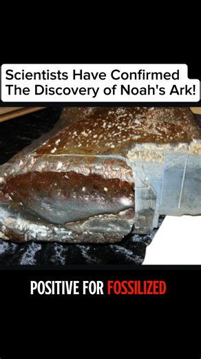 Scientists have confirmed the discovery of Noah's Ark! #noah #ark #discovery | History Feed