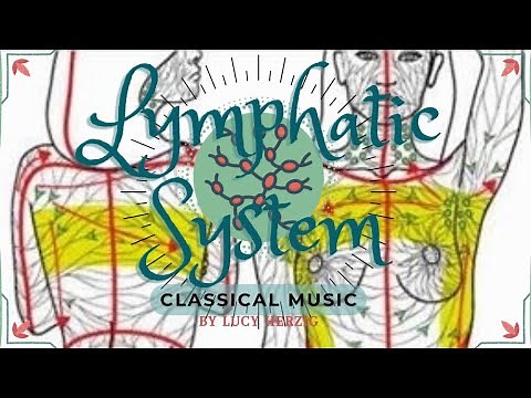 𝄞 Optimal Lymph Circulation! ~ Enhanced Lymphatic System + Healthy Thymus Gland ~ Classical Music