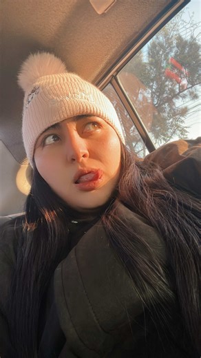 My Type of Dog Trends: Discover Your Perfect Match