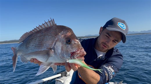 Casting soft plastics for Snapper is such a ripper way to spend a day, particularly when your mates come along for the ride! 🎣 Jono and Nolzy show us how it's done, landing a few solid fish on a range of Berkley soft plastics, with a couple coming home for dinner 🤩 Let us know in the comments below, what's your favourite way to cook up a snapper? | BCF - Boating, Camping, Fishing