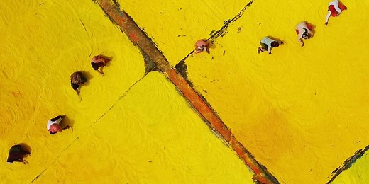 How a small company in India produces over 2,000 tons of colorful Holi powder each year