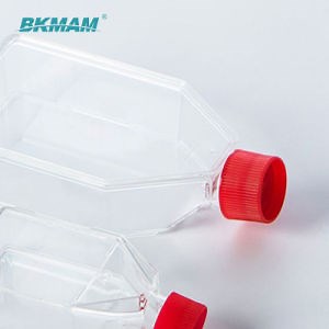 [Hot Item] T25 T75 Lab Cell Flasks Sterile Tissue Culture Flask with Screw Cap