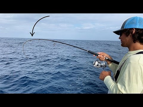 Most Effective Rig for Offshore Fishing! Bites as Soon as you Hit Bottom! (Snapper Fishing)