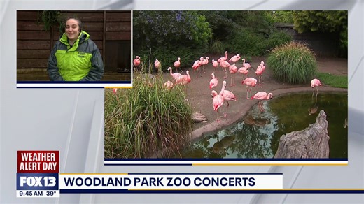 Woodland Park Zoo concerts returning to Seattle this summer