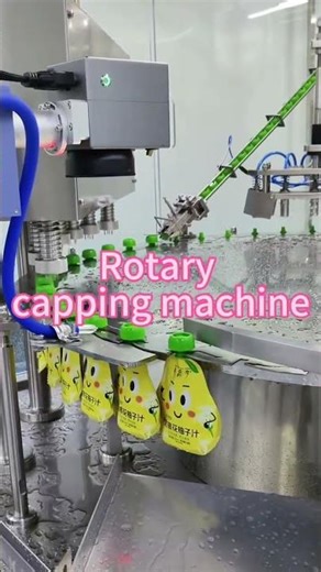 Cap Feeding & Capping Machine for Pouch Filling