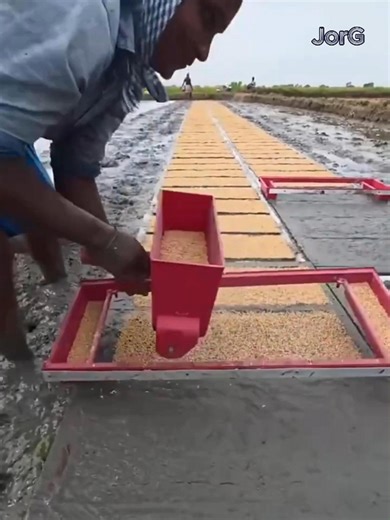 13K views · 15 reactions | How This Simple Tool and Smart Machines Transform Rice Growing | JorG | Facebook