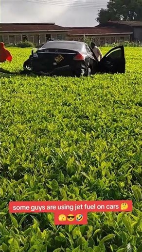 Netizens Surprised after seeing a car hanging on tea plantation!