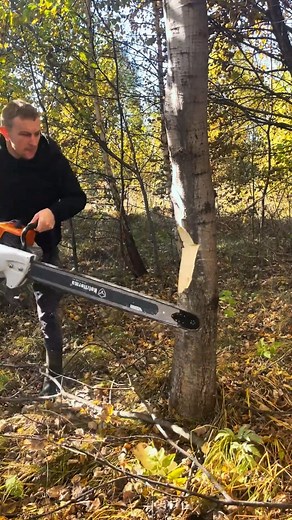 Alex Tree Climber on Reels