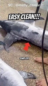 The Smart Way to Clean Swordfish — No Scales, No Problem! 🐟💦