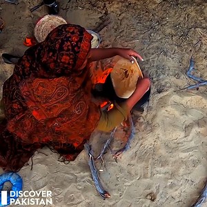 Life in Cholistan Desert | Discover Pakistan TV | Discover Pakistan