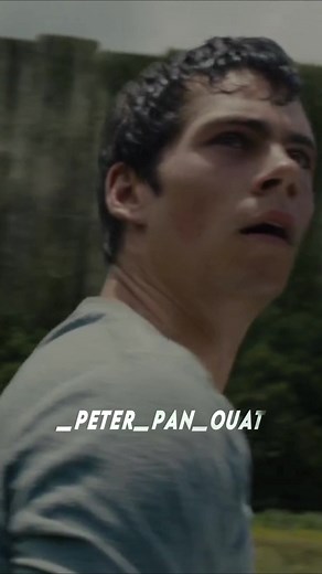 Thomas in the Glade #thomasmazerunner #mazerunner #thomasedit #glade #thomas