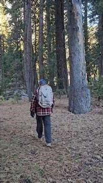 The Ultimate Travel to Trail Bag | Tolaccea Convertible Duffel:Backpack Review in Yosemite