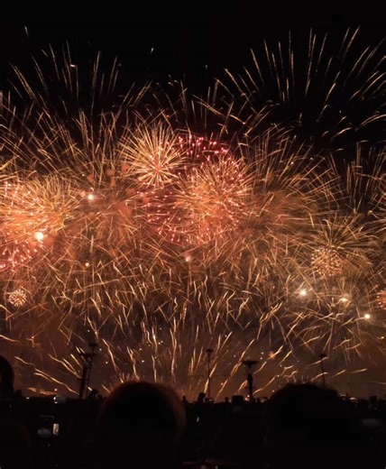 The Final exhibition of our very own Platinum Fireworks Inc. ✨ #pyromusical #pyromusical2025 #fireworks #fyp