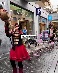 27M views · 51K reactions | Only in the Netherlands 藍 謹 | UNILAD | Facebook