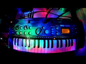 Sampleflip 1 | Korg Microsampler