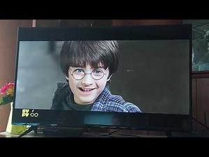 Harry Potter and the Sorcerer's Stone Zoo Scene