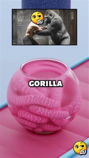 Would You Rather Fight a Gorilla or 50 Ducks? #wouldyourather