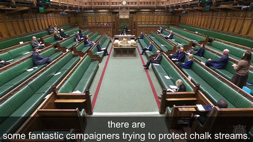 The Planning and Infrastructure Bill returned to the Commons today. I spoke in favour of an amendment that would ensure greater protections for chalk streams. | Sarah Green MP