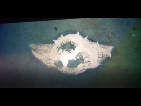 Failed Puddle (door courtesy) Light - what went wrong?