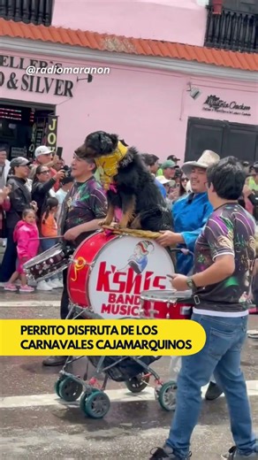 PERRITO DISFRUTA DE CARNAVALES EN CAJAMARCA
