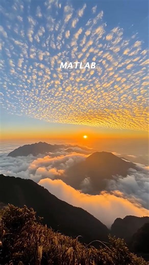 Ultimate Kerala Travel Itinerary | Munnar, Kolukkumalai Sunrise & Gavi Offroading 🌴