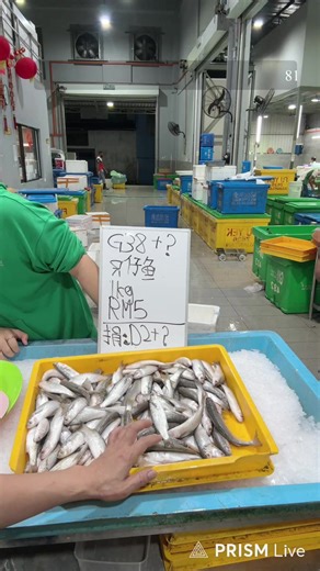 有中国代购的顾客请尽快付款 今晚下单满RM200送马年碗筷 外坡今天下单自动拼单到25号 | Gm seafood wholesale supply