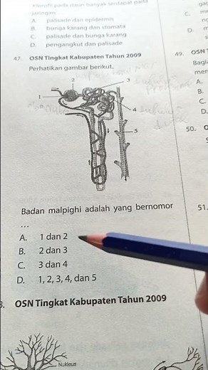 OSN BIOLOGY QUESTIONS