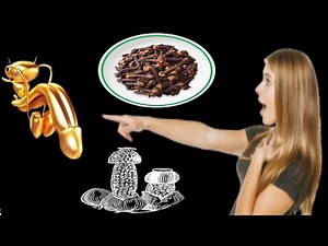 Mélanger l'ail et le miel avec des clous de girofle ~ Le secret que personne ne vous dira jamais