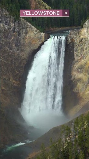 Yellowstone National Park 4K Ultra HD #travel
