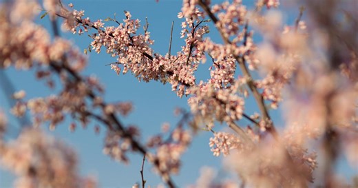 30 things to do this spring in the Lawrence and Kansas City areas