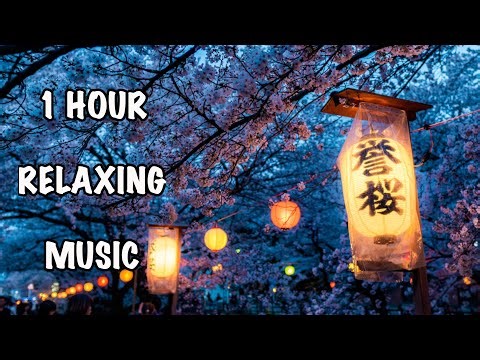 1 Hour Relaxing Japanese Music | Cherry Blossom (Loop) #relaxingmusic #karatemusic #taichimusic