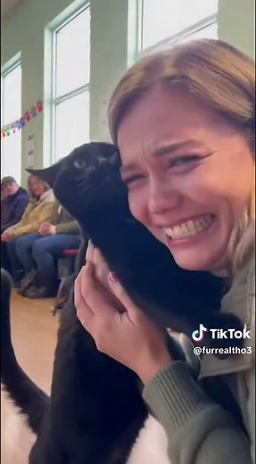 Cats Choose Their Humans: Heartwarming Adoption Stories