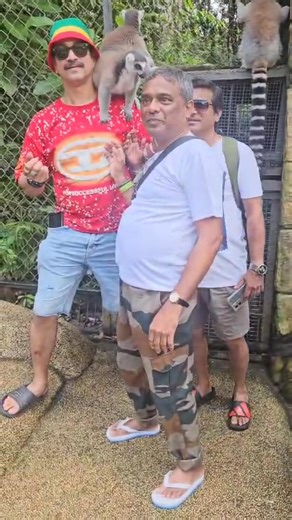 1.2K views · 57 reactions | Feeding LEMURS exotic and endemic spieces not at all found in INDIA. Lemur being the wet nosed primate native to madagascar and those near by islands. It is heard that, lemurs are related to apes and monkeys still they have a different primate family tree. They are supposed to evolved much before apes. It was a fantastic experience feeding them. | Navketan Pednekar | Facebook