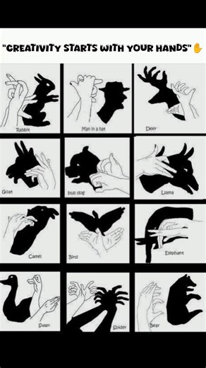 “Only Legends Can Make These Hand Animals 🖐️🐻”