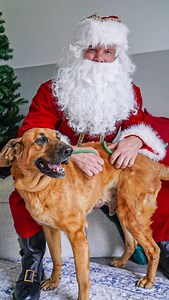 10K views · 4.6K reactions | Hank Revenge Tour Loading…….❤️‍啕...