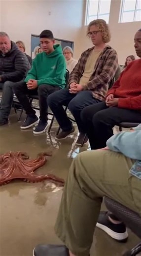 A giant octopus chooses its human in the most heart-warming moment ever. Strange. Emotional. Unforgettable. #octopus #animalvideo #heartwarming #emotional #unexpected