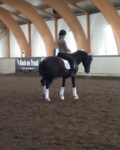 1.3M views · 36K reactions | Bridle Free and the power of the core ...... interesting how attentive the horse is and how relaxed when the collection moment is released. Get the no stirrups and stillness of leg without spurs too  check out @alizeefroment on Instagram. | Forageplus | Facebook