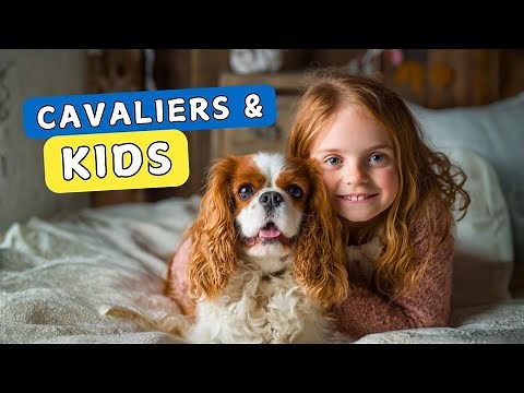 Watch THIS Before Getting a Cavalier King Charles Spaniel for Your Family
