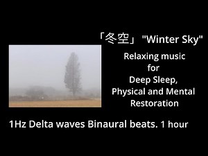 1Hz Delta Waves Binaural Beats. Relaxing music for Deep Sleep. “Winter Sky” 立体音響 OPSODIS1.